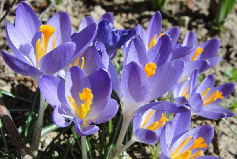 生肖|九月下旬，四生肖财运红得发紫，事事顺心，家运亨通