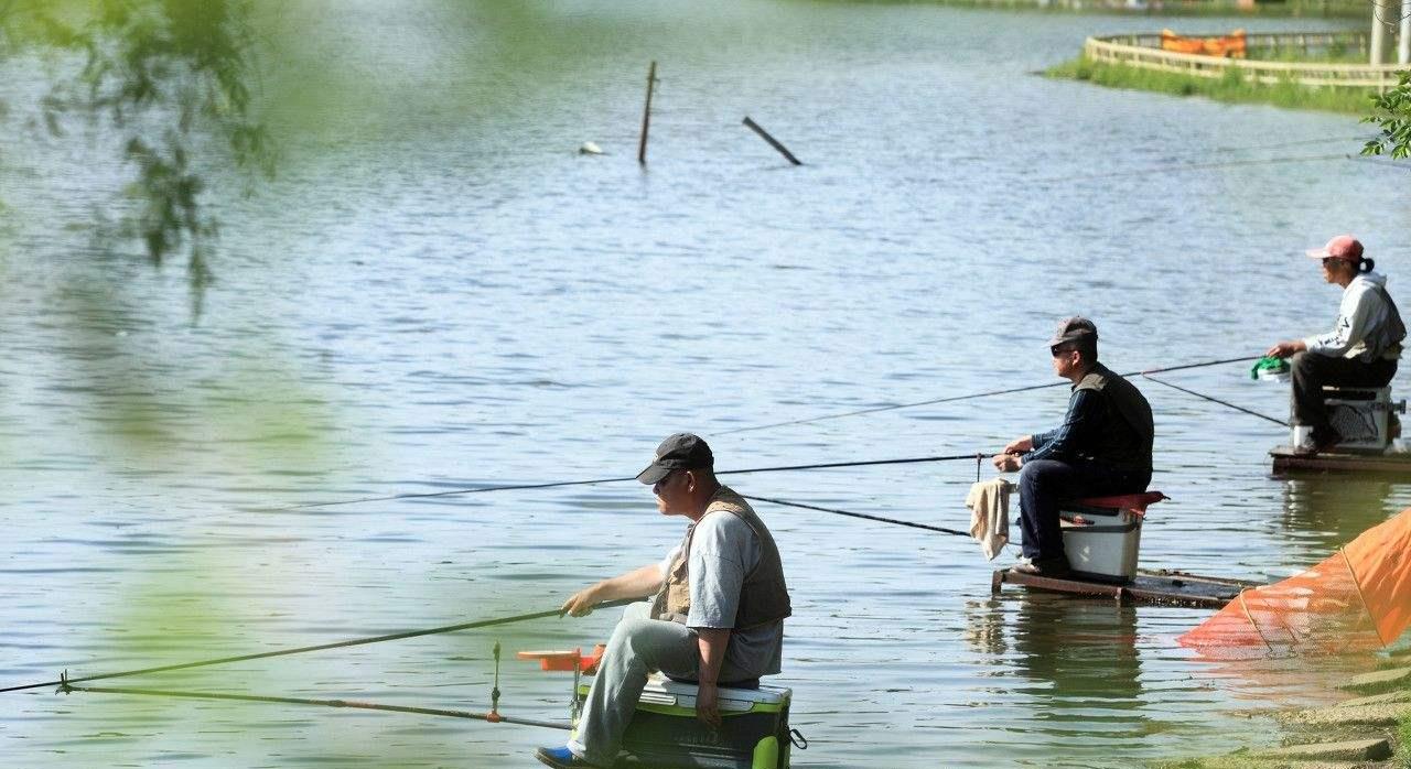 |曾经的钓鱼交流群，如今的钓点“索取”群