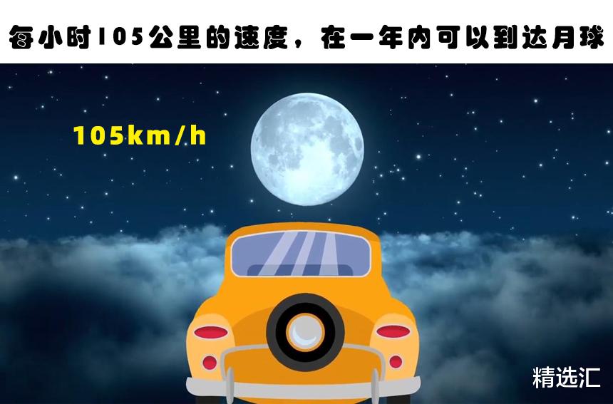 蜘蛛：可能会让很多人意想不到的10个冷知识