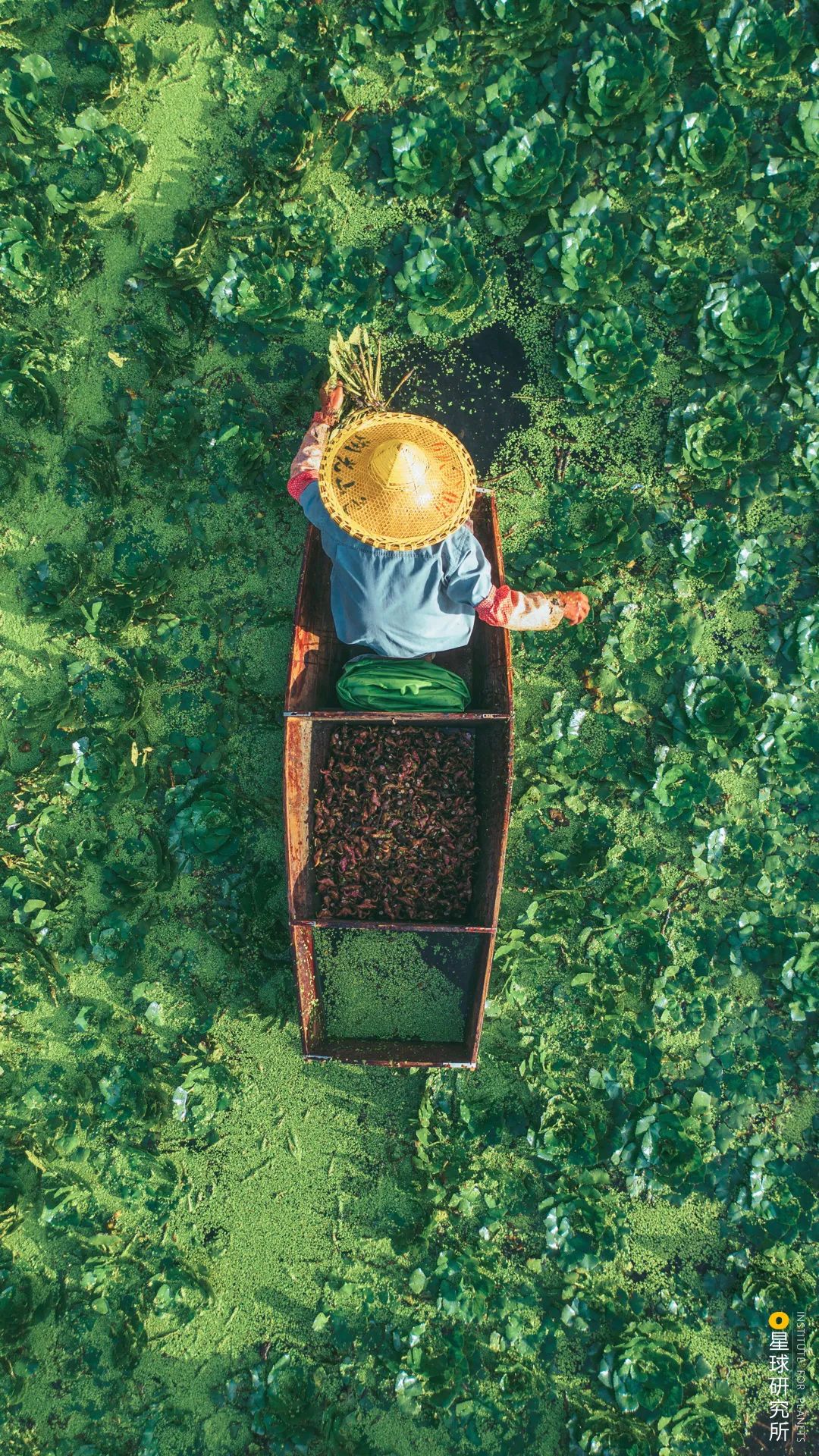 |30张图，偷偷说再见...