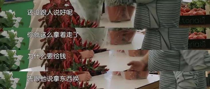 赵丽颖|赵丽颖,求你退出《中餐厅》吧