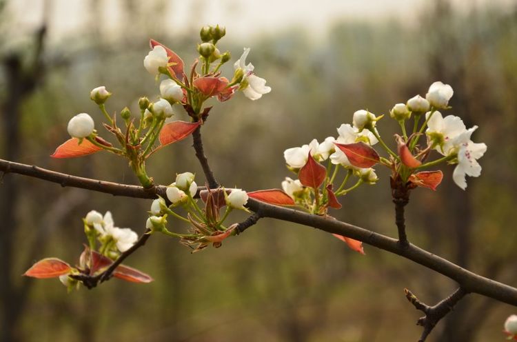 生肖|9月中旬，好运到！贵人登门，财运旺不停，五福进门的4大生肖