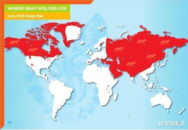 |中国哪些地方有狼？