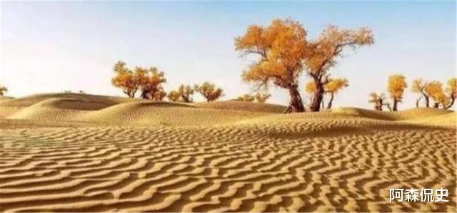 毛乌素沙漠|中国一沙漠就快成绿洲，却来了一群“捣乱”的，治沙人：心血被毁