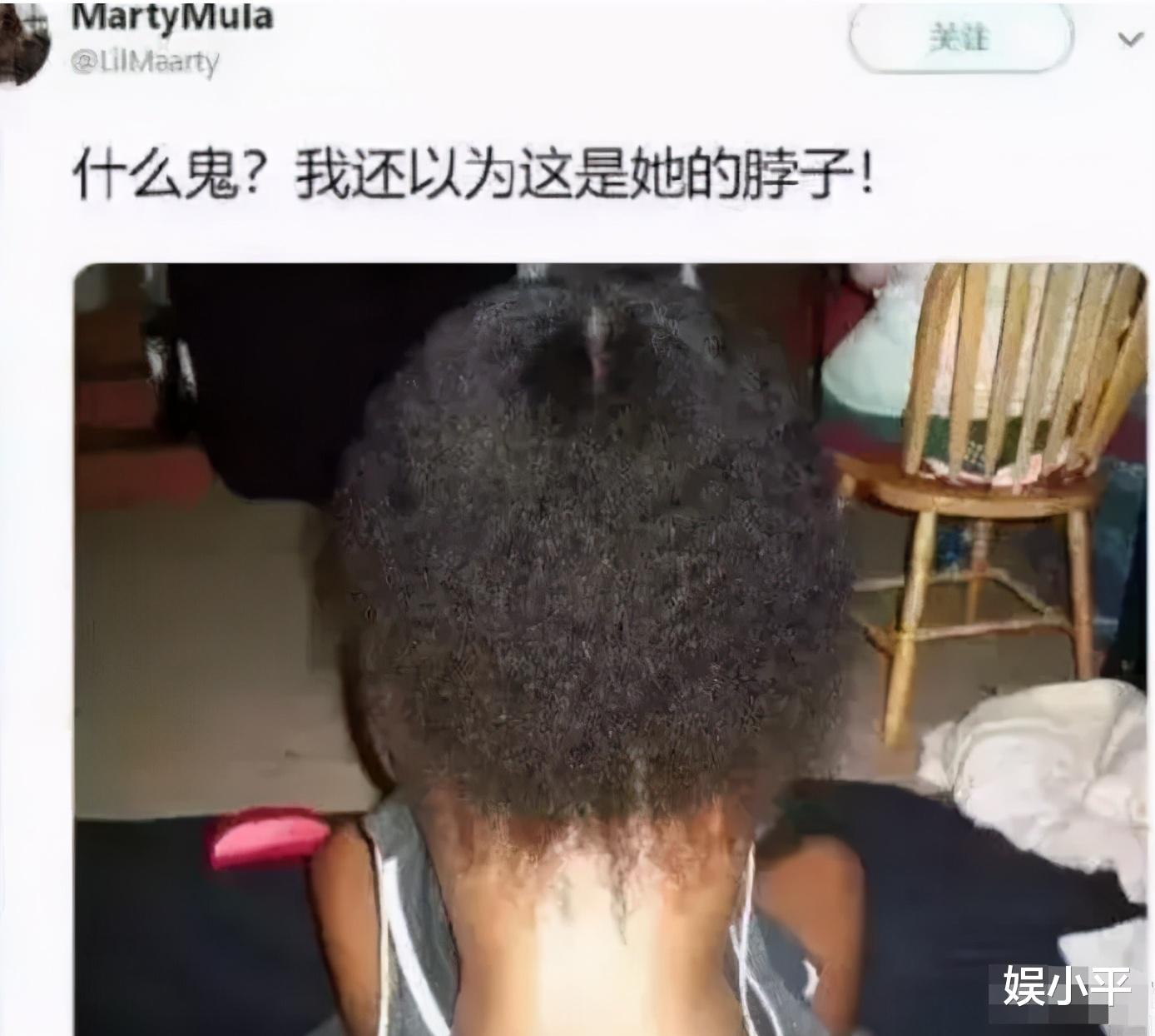 隔离|“如果没有生殖隔离,地球会变成什么样?”评论真敢想啊,哈哈哈