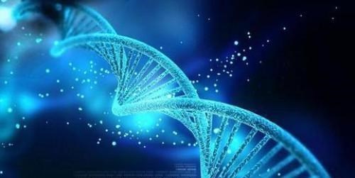 科学家@理论上人类的极限寿命是多少岁?听完科学家的解释明白了