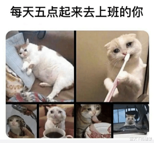 手环|“为什么手上都要戴一个类似于手环的链子呢？\很好奇哈！