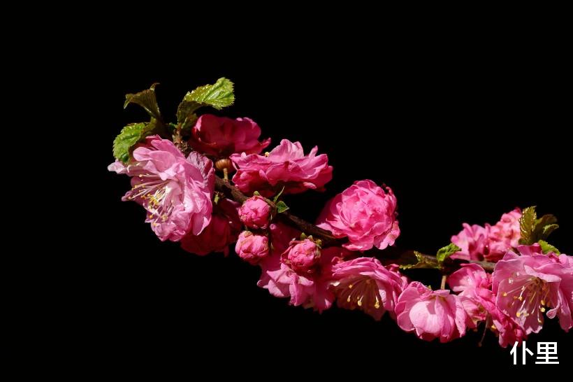 「生肖」7月上旬财运一路飙升,好事缠身,注定出人头地的3生肖,生活幸福