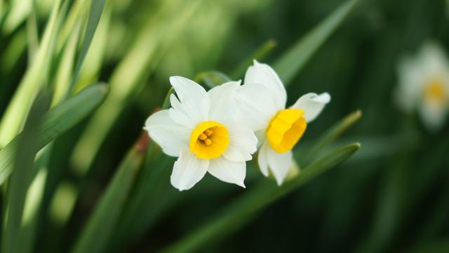 金牛座|9月，兜兜转转，痴心不悔，分分合合，不再争吵，爱情又来报道