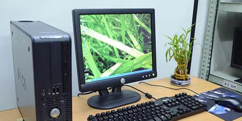 双十一|盗版系统使用者每增加一个,微软就损失上千元,为何一直不追究?