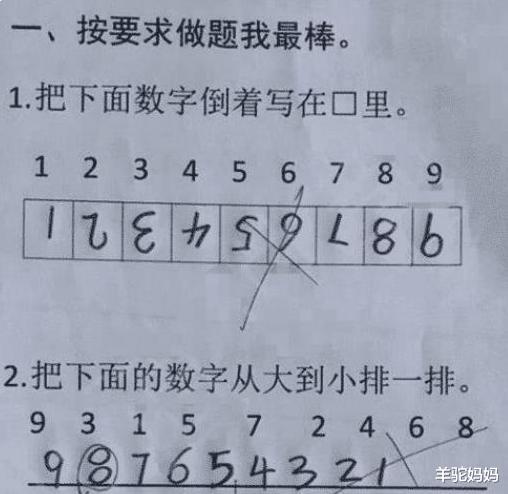 考试|小学生0分试卷走红，老师看了也无奈，网友：这是“真皮”