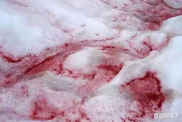 西藏@西藏四大“未解之谜”，一个比一个“邪门”，引得专家纷纷前往