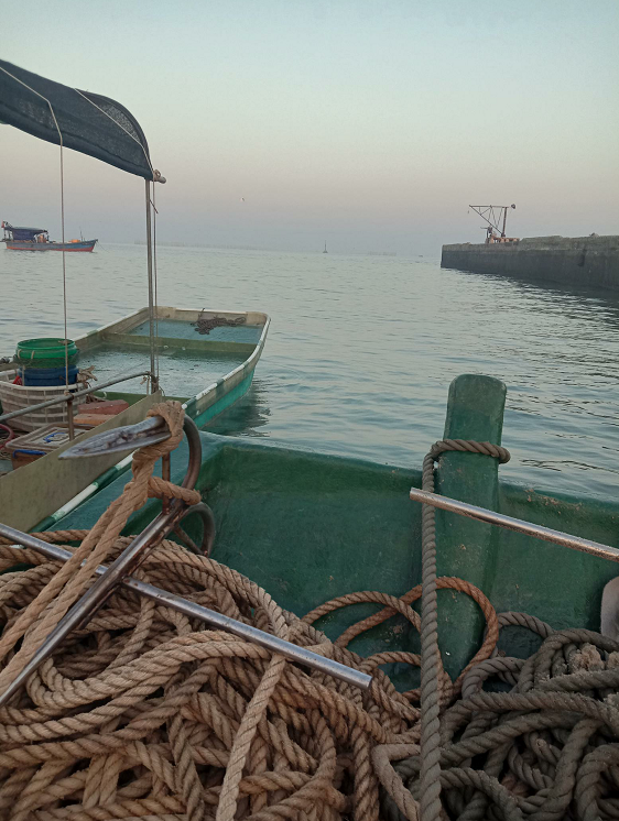 金鲳鱼|跟老船长出海到神秘钓点，渔获狂拉不断，卖了一千多块钱