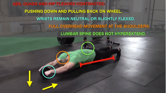 『臀部』健腹轮有什么效果?5 种健腹轮训练与3 种常见的使用错误