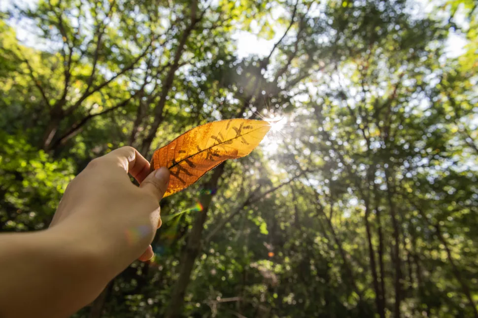 延庆|别找了，京郊 “赏秋最佳景观位”在这里！