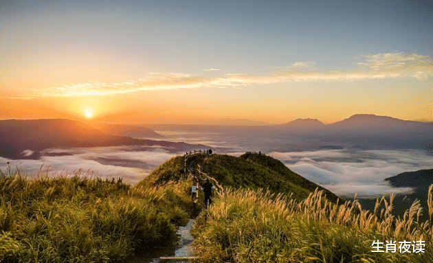 生肖|11月底，桃花送情，月老助缘，3大生肖爱意泛滥，此生不会分开