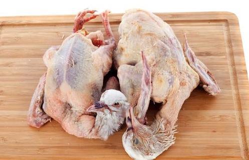 红枣|一鸽胜九鸡，鸽子汤怎样做才好喝？试试此做法，肉嫩汤鲜，太香了