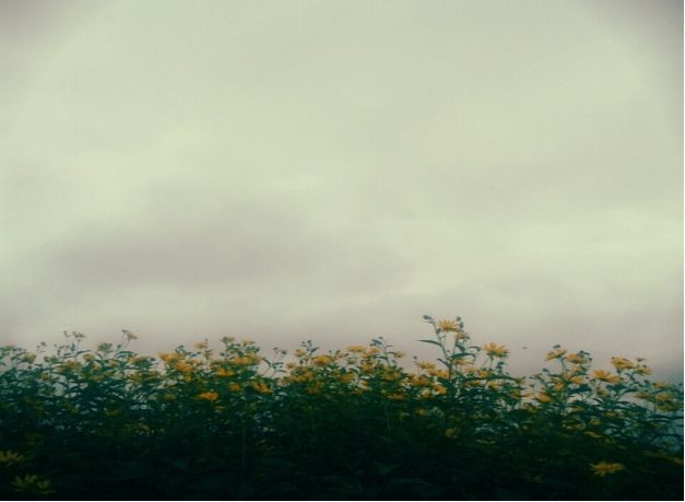 生肖▲“缺乏责任感”的3生肖男，只爱自己，不爱惜老婆