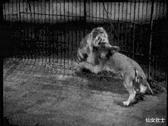 中小学|“高中班主任成了我的老公？！”那些年做过的轰动全校的事