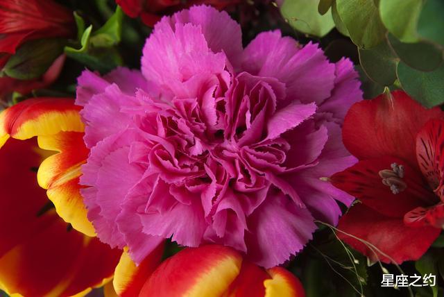 金牛座|在8月份，贵人相助，前途无量，节节攀升的三大星座