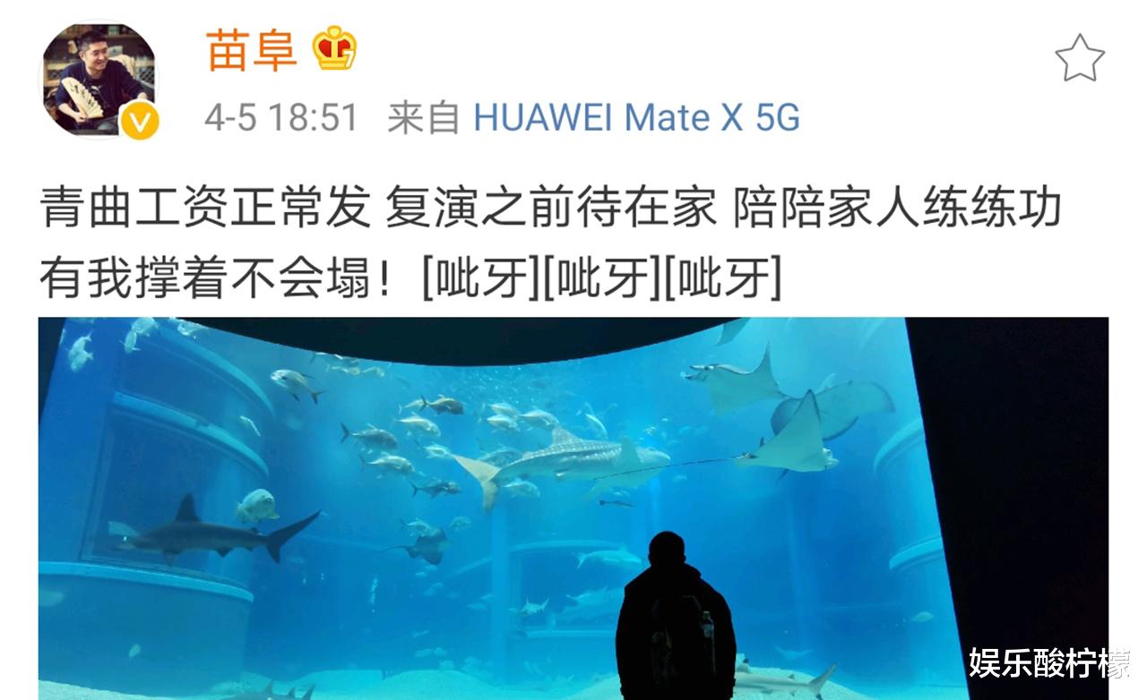 陈祉希@功高盖主?金霏陈曦夺冠后,低迷的高晓攀还能留得住吗