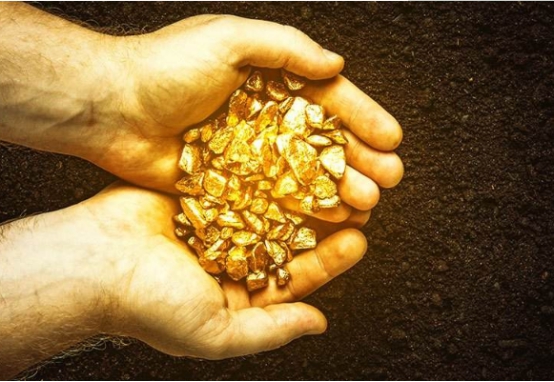 科学家|含金量极高的3种生物，尤其是24K黄金达摩，抓到一只会暴富