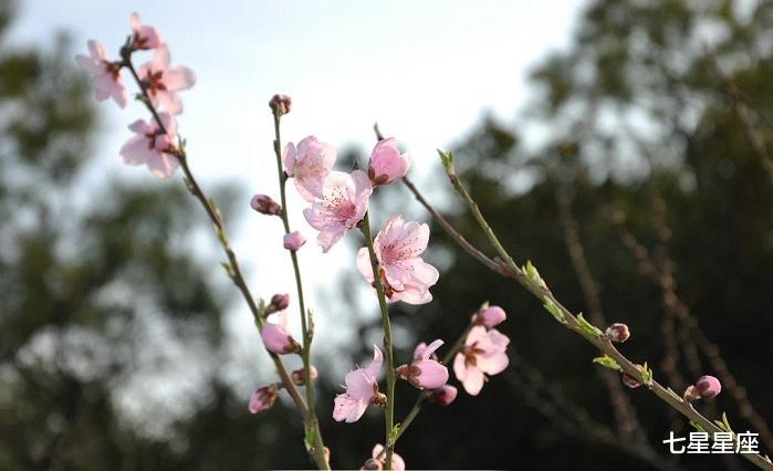 #生肖#报喜：7月5号，财运不错，生意兴隆的3生肖，咸鱼翻身有钱花