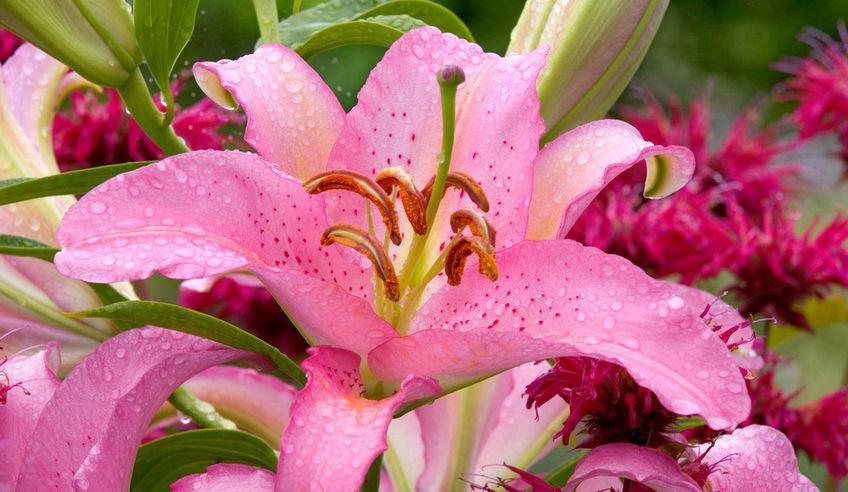 『双子座』遇上这几个星座,越虐他们,他们爱你更深