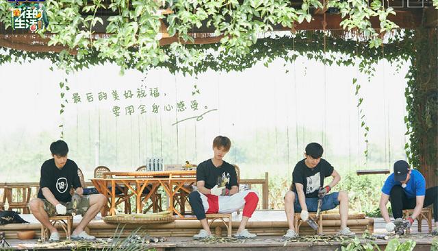 『极限挑战』《极限挑战》没挑战,《奔跑吧》不奔跑,综艺节目“老龄化”严重