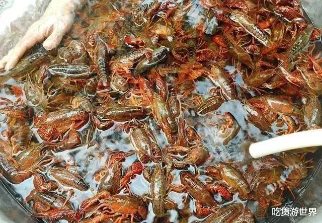 「小龙虾」洗小龙虾时，别再一只只刷了，用这水泡10分钟，洗得干净又彻底