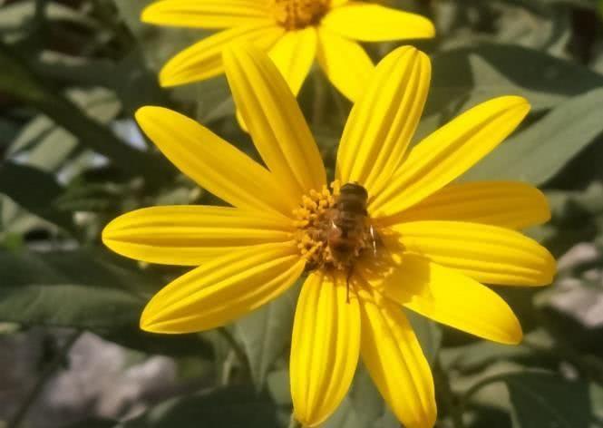 运势|10月开始，福星照耀，财聚八方，事业腾飞的四大生肖