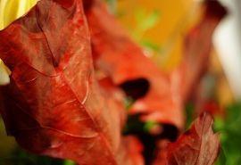 运势|总有几个星座苦难到头，一路飞升，迎接美好