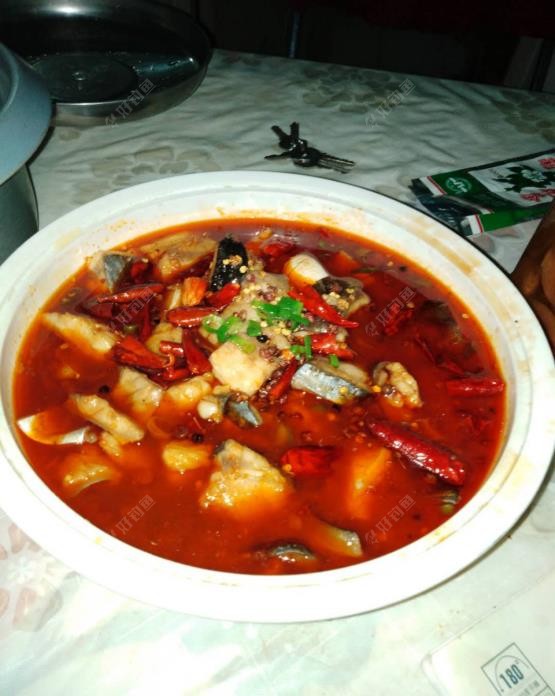 饵料|南鱼北调把鱼养，来年再战不空军