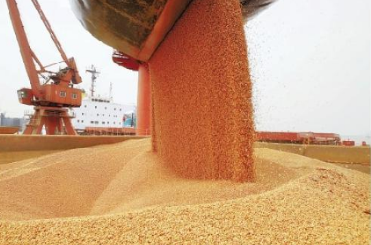 進口的大豆價格持續增漲，中國卻仍堅持購買，美國有“苦”說不出-圖2