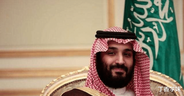 「沙特阿拉伯」沙特政坛大地震！上演玄武门之变：20位皇子被拘，298名高官被捕
