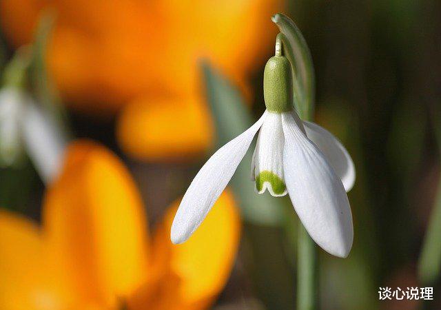 [星座女]未来两周，前任回首，心意相通，3星座旧情重燃，执手生死与共