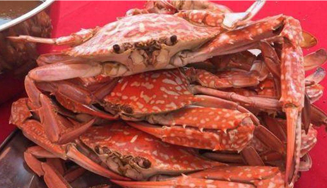 湛江|国内最适合吃海鲜的6座城市，新鲜肥美游客还少，很少有人知道