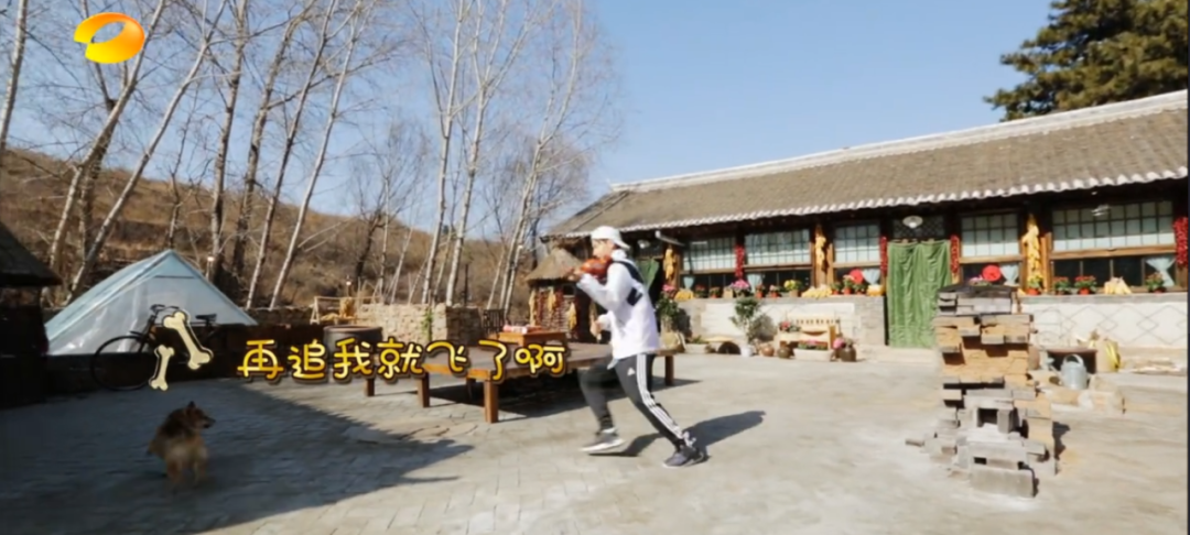 人物设定|被何炅黄磊踢出群聊，全网骂退出节目，却在韩国成万人追捧的音乐天才？