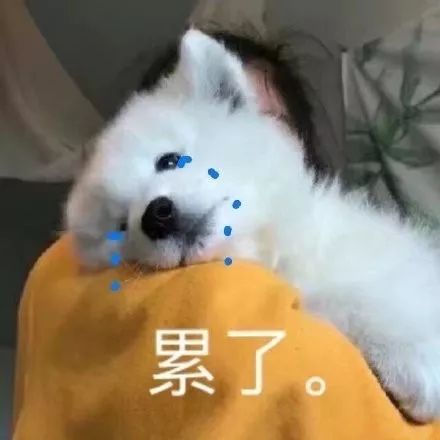 本科线|2020年文科生报考,受疫情影响,今年本科线的录取率会不会降低?