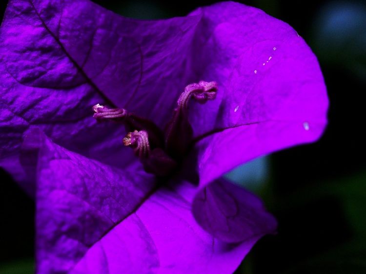 生肖|9月份开始，好运爆棚，吉事不断，生活如意的4大生肖！