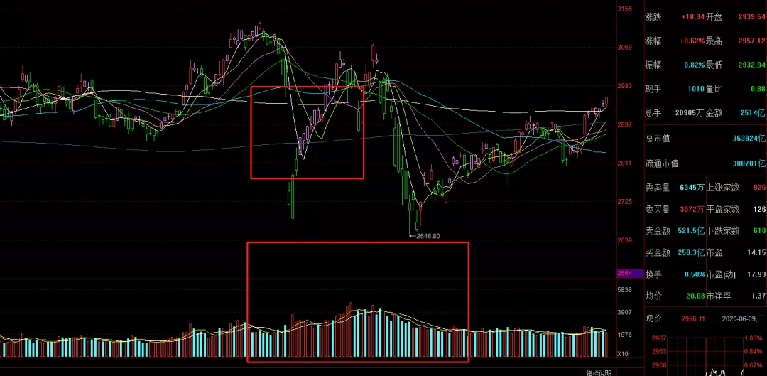 『涨停』场外散户跑步入场！珍惜难得的割韭菜机会