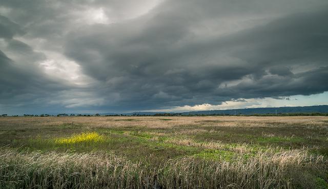 狮子座|心宽则安，心大福大的三大星座。做人胸怀宽广，心量大，高瞻远瞩