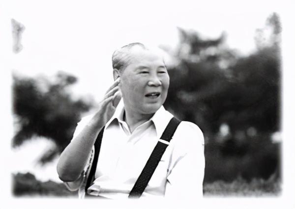 开除党籍|开国上将逝世8年被开除党籍，妻是部长，女婿是上将，儿子成富豪