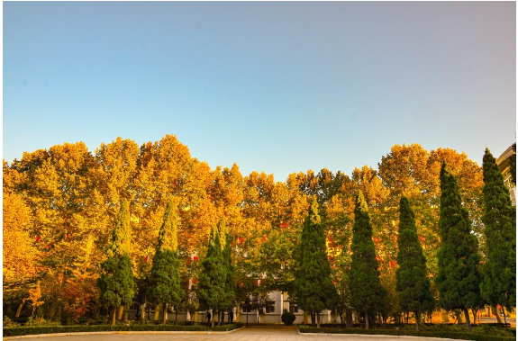 招生@公安部直属的4所“警校”，录取分低，二本就能上，是铁饭碗