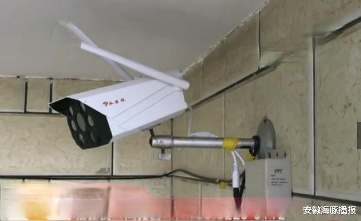 中毒|母子4人得怪病，同时出现紫斑和牙龈出血，检查结果出来直接报警