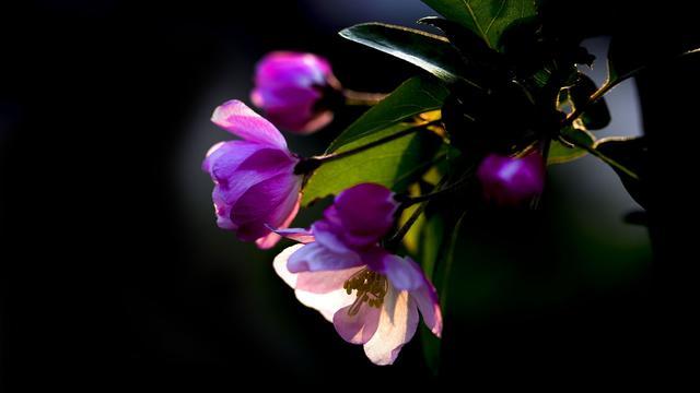 「生肖」2个月内，混得“风生水起”的3大生肖，家中钱财汇聚不断！