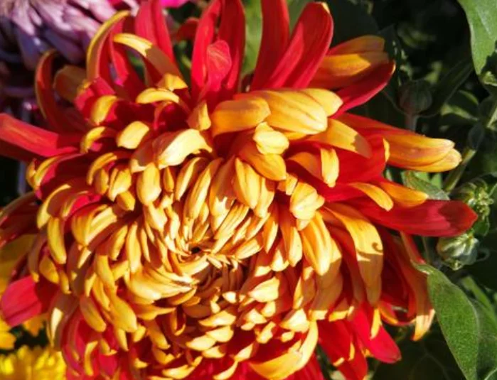 天蝎座|8月18号喜迎财神,八方贵人,横财天降,财运大红大紫的3大属相