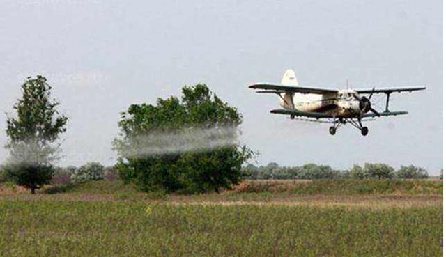 「印度」4000亿蝗虫一夜消失，怎么做到的？看看它们去的是哪个国家