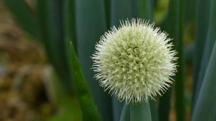 生肖|八月底，红娘庇佑，缘分更近一步，爱情开始新篇章的四大生肖！