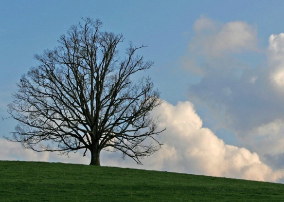 「吉星」7月下旬吉星加身,4属相贵人相助,好运到来,事业发展顺利